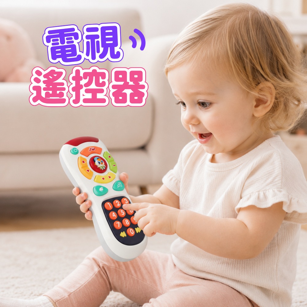 HolaLand匯樂玩具 電視遙控器